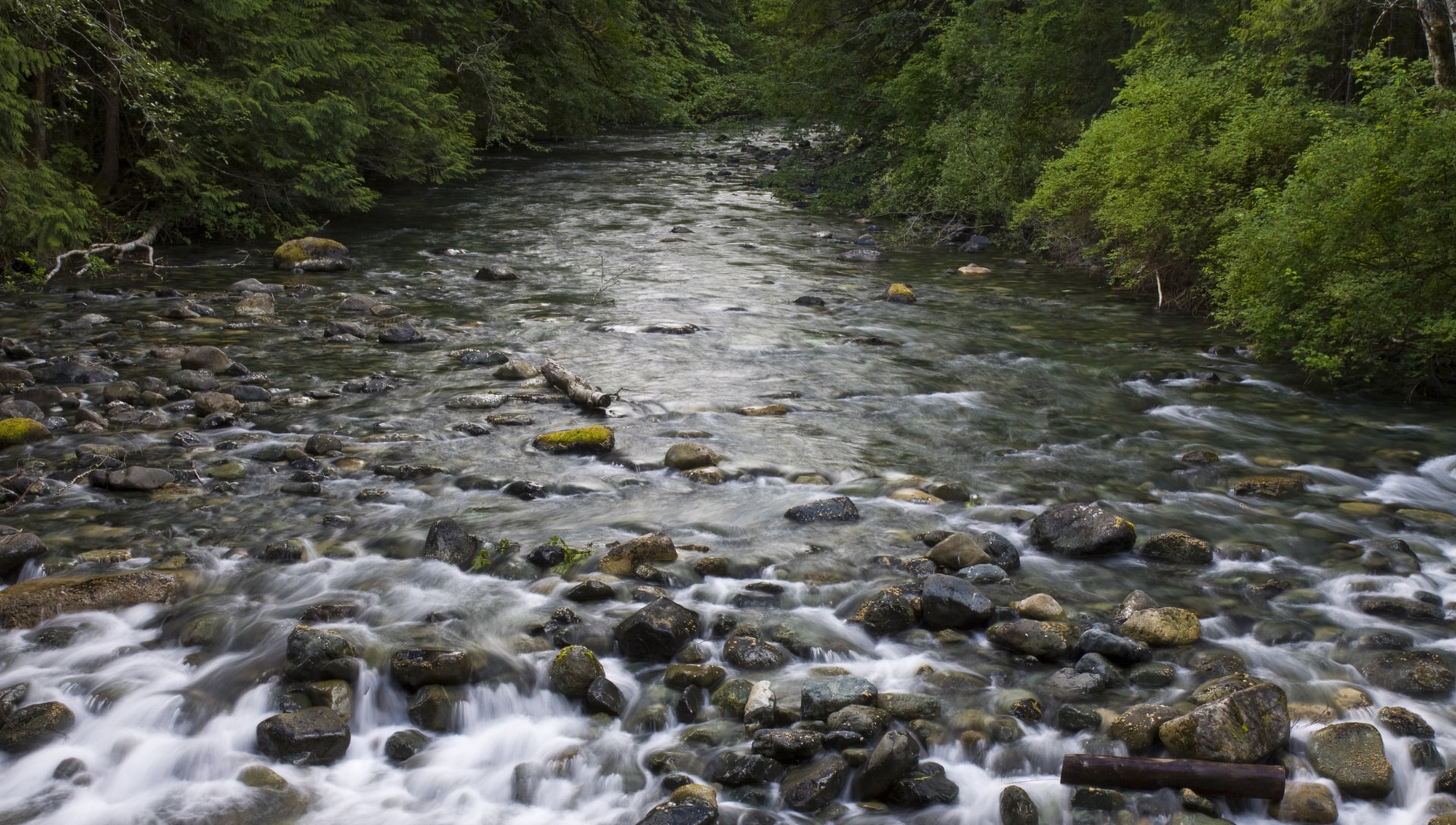 Rapids at Little Qualicum River Park