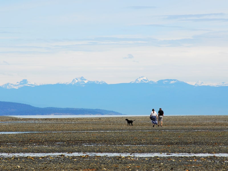 Two people walking their dog along the beach in Qualicum, BC