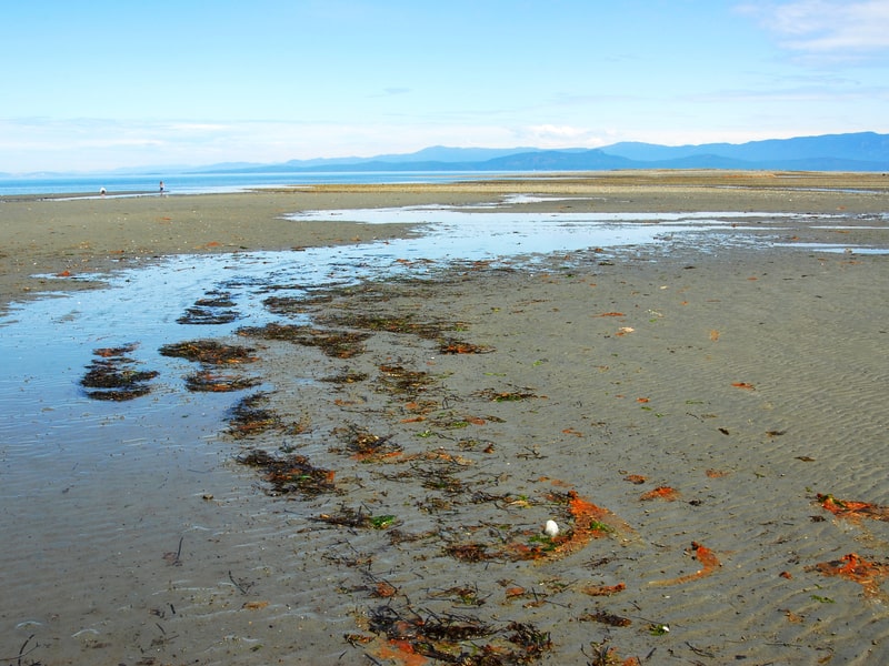 Stretch of beach at low tide in Qualicum, BC.