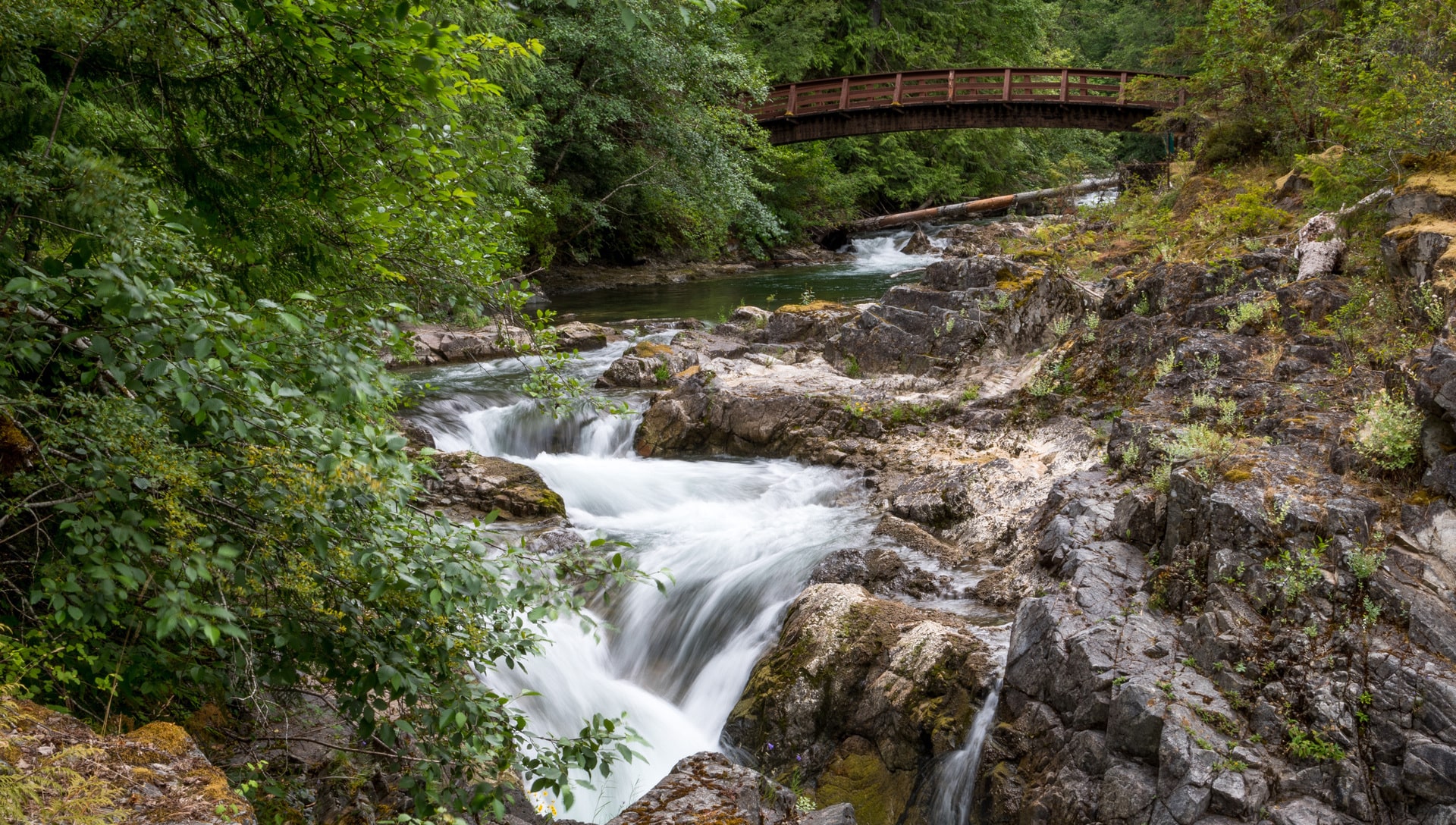 Bridge and rapids in forest at Little Qualicum River Provincial Park