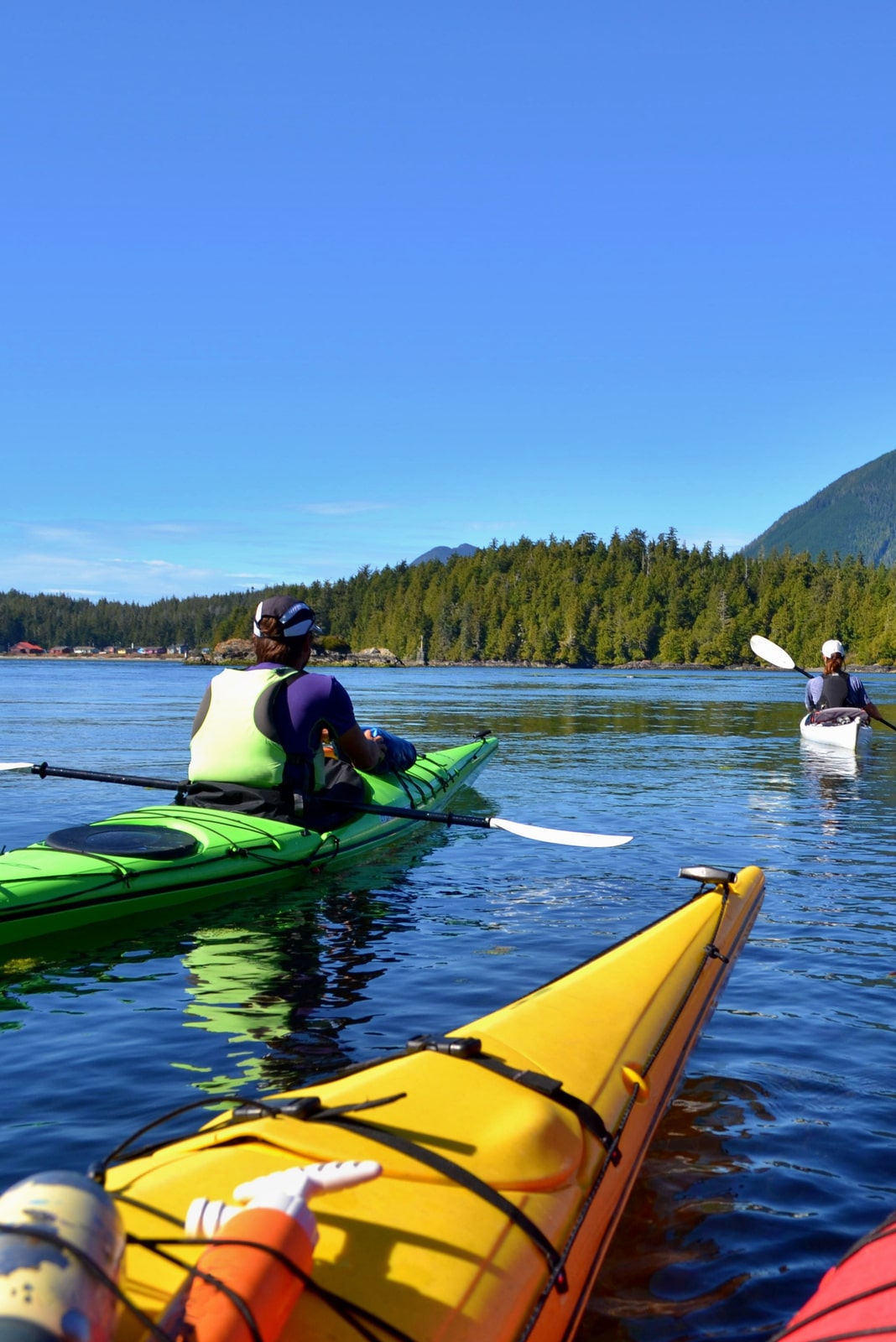 Group of people kayaking around the Vancouver Island islands