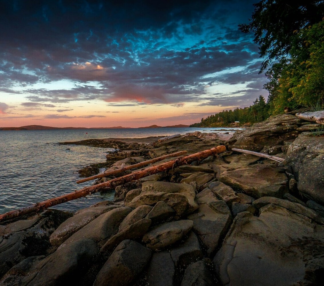 Driftwood and rocky beach in the Yellowpoint area of Ladysmith, BC. Photo by Debbie Molle on Unsplash.